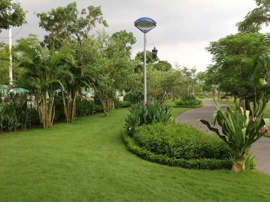 Đèn con mắt